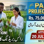 Research Associate Jobs 2026 at Rice Research Institute Kala Shah Kaku | PARB Project Apply