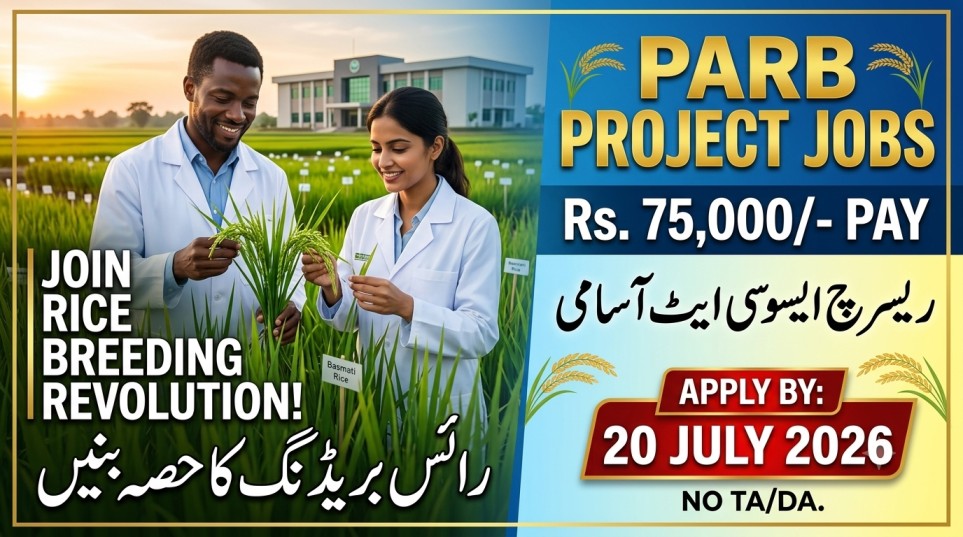 Research Associate Jobs 2026 at Rice Research Institute Kala Shah Kaku | PARB Project Apply