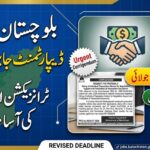 Finance Department Balochistan Transaction Advisor Jobs 2026 | Apply Before 14 July