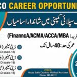 PESCO Jobs 2026 for Deputy Manager Finance, Banking