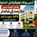 Army Public Educational Institutions Peshawar Cantt Jobs 2026