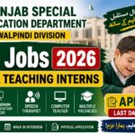 Punjab Special Education Department STIs Rawalpindi Division Jobs 2026 – Apply Now