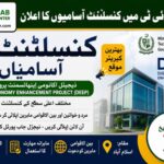 Ministry of IT DEEP Consultant Jobs 2026 in Islamabad Apply Online