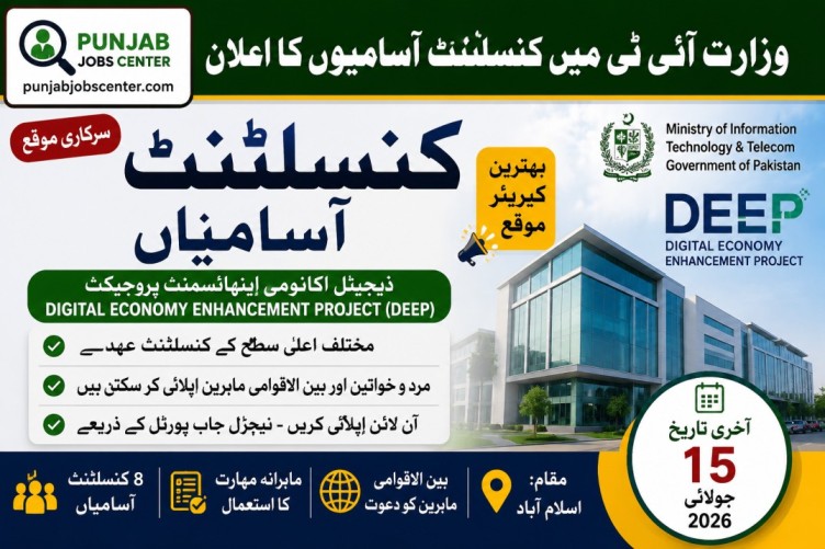 Ministry of IT DEEP Consultant Jobs 2026 in Islamabad Apply Online