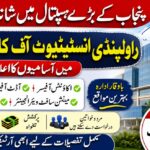 Cantonment Board Bahawalpur Principal Female Jobs 2026 | Apply Online