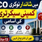 IESCO Company Secretary Jobs 2026 : Apply Online