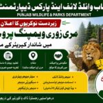 Latest Punjab Wildlife and Parks Department Jobs 2026: Apply Now