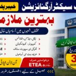 Public Sector Organization KPK Jobs 2026 via ETEA Apply Online